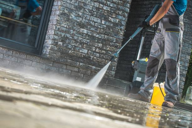 Best Gutter Cleaning  in Elkader, IA